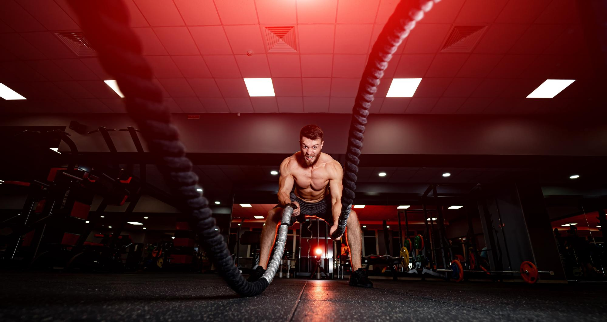 The Fuel of Champions